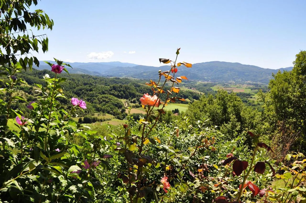Villa Cosy House In Gattaia With Shared Pool Casa vacanze